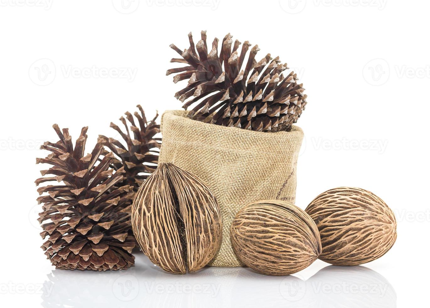 Othalanga - Suicide tree seed and cedar pine cone in sacks fodder photo