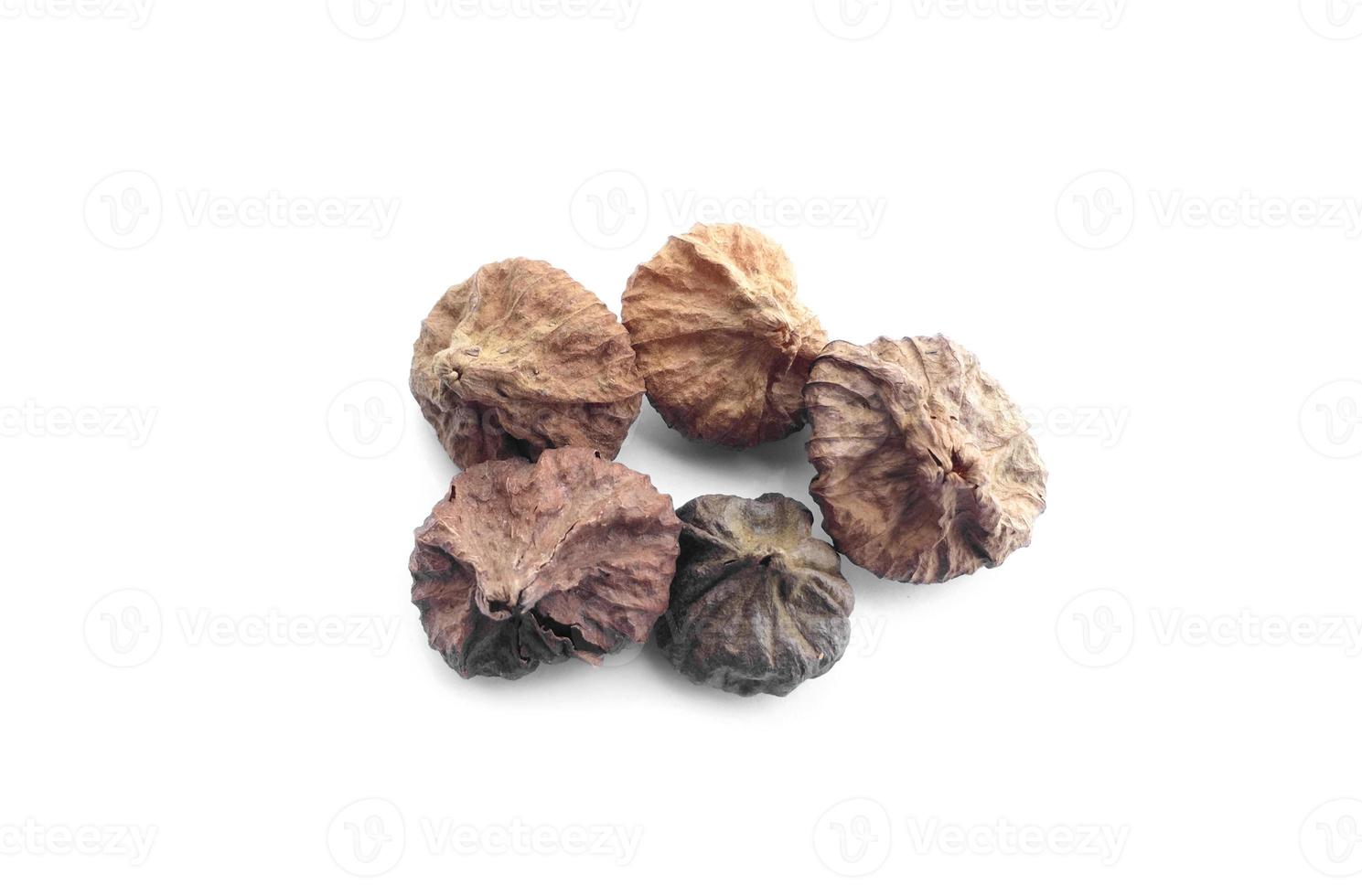 Isolated tectona grandis seeds on white background, soft and selective focus. photo