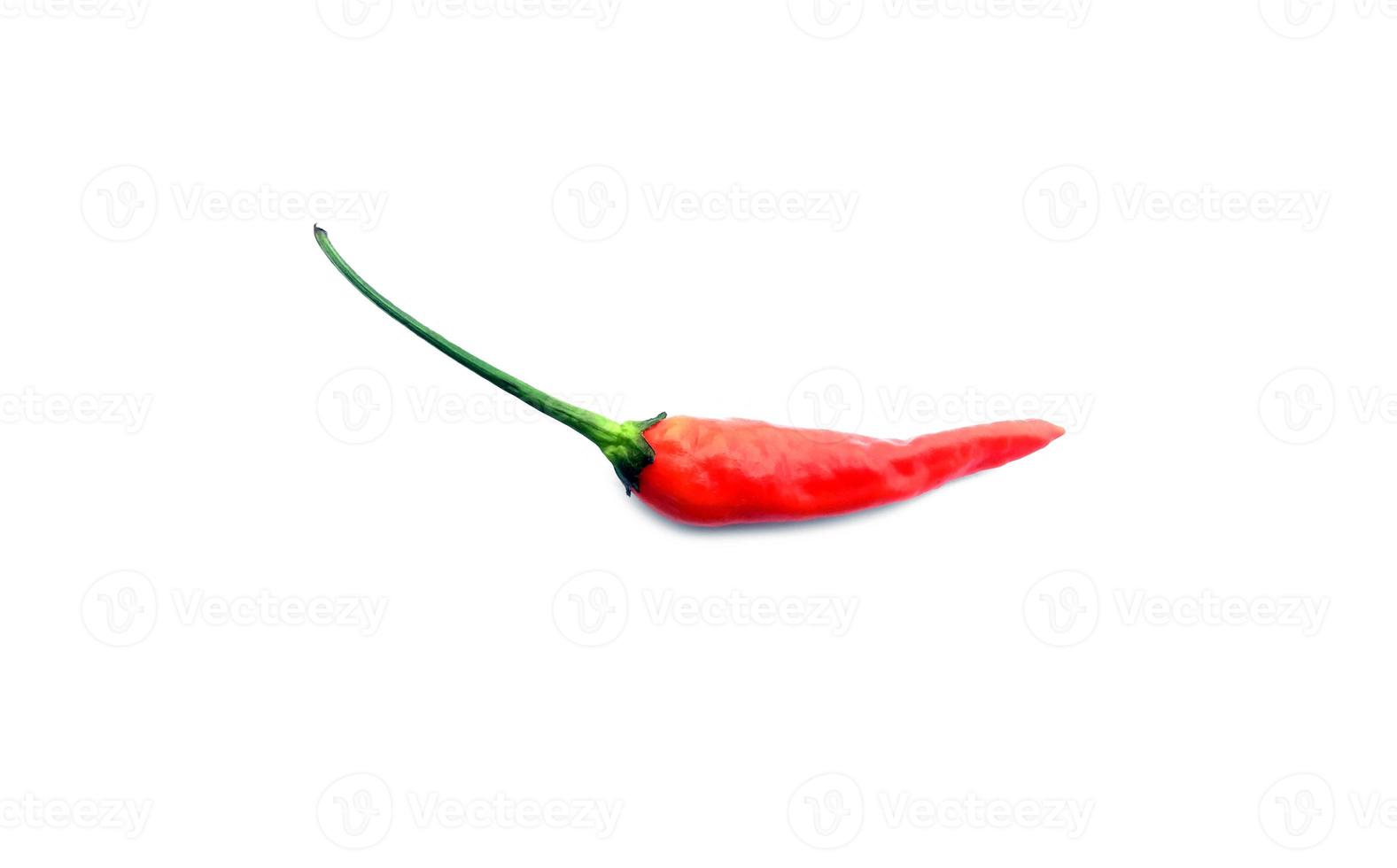 Isolated hot Karen Chili pepper on white background, hot asian food ingredients concept. photo