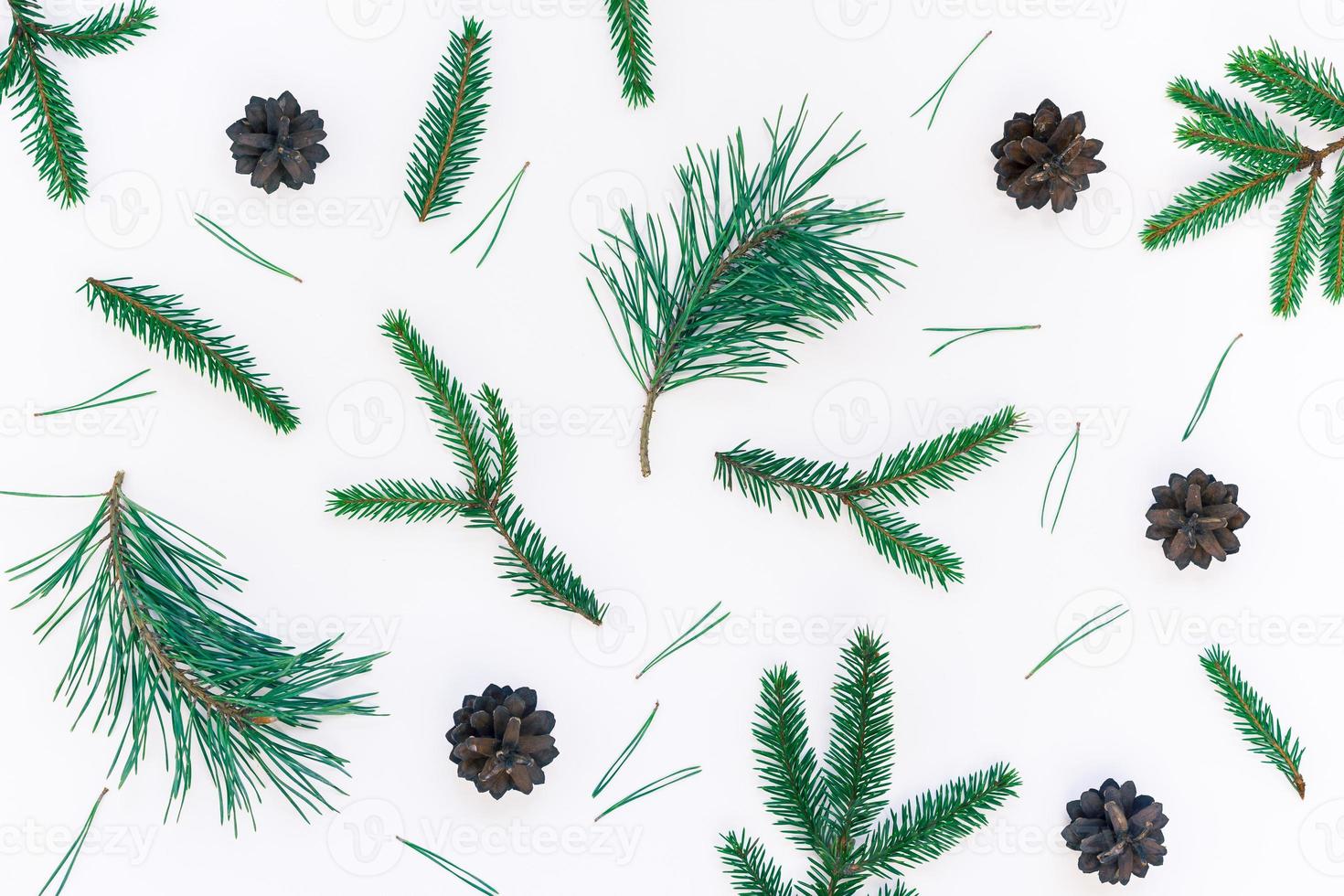 Christmas pattern with fir tree pine branches photo