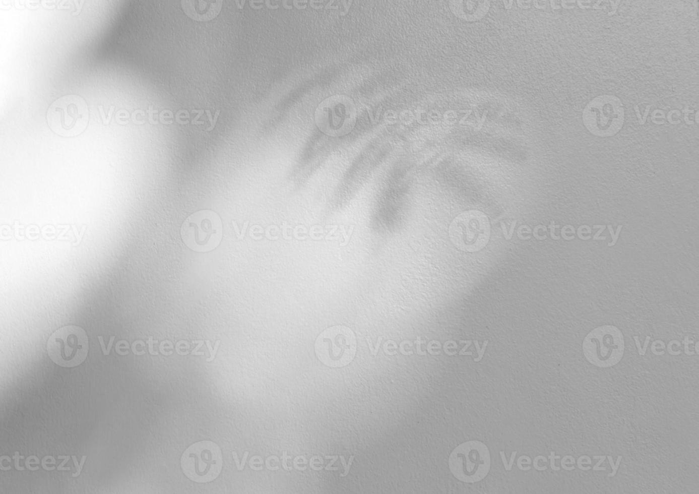 Leaves natural shadow overlay on white texture background, for overlay on product presentation, backdrop and mockup, summer seasonal concept photo