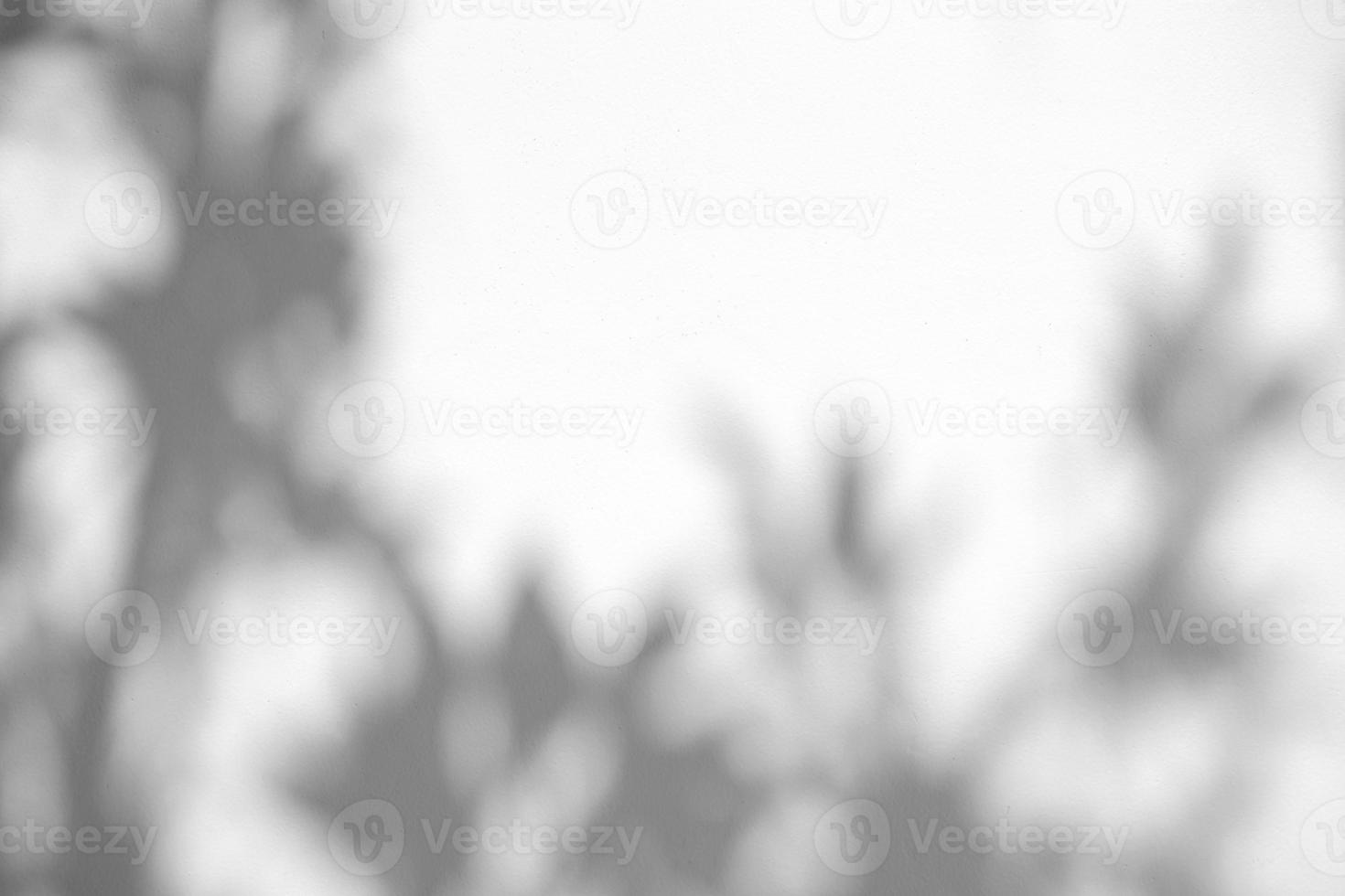 Leaves natural shadow overlay on white texture background, for overlay on product presentation, backdrop and mockup, summer seasonal concept photo