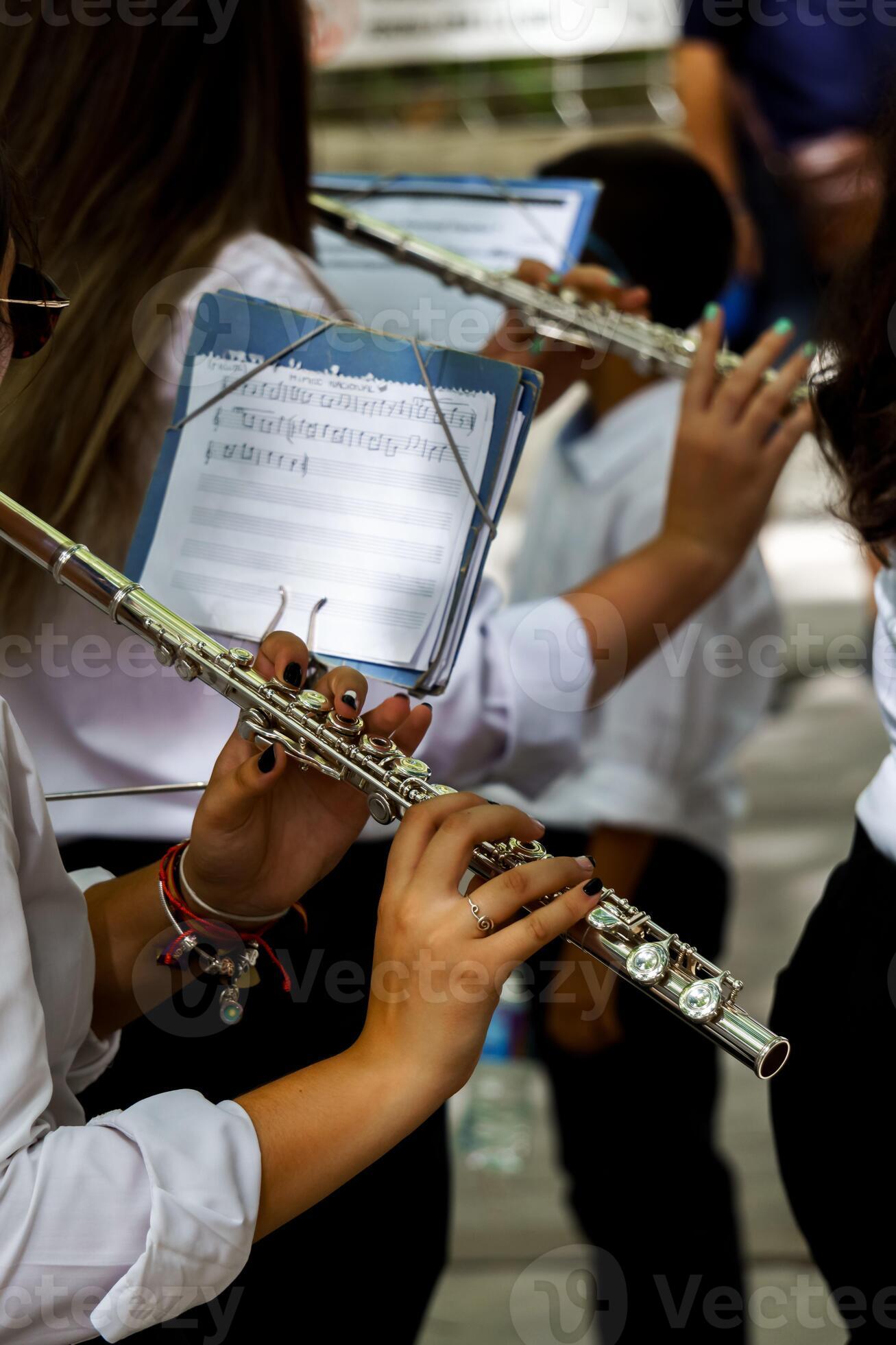 Marching Band Flute Marching Band Flute