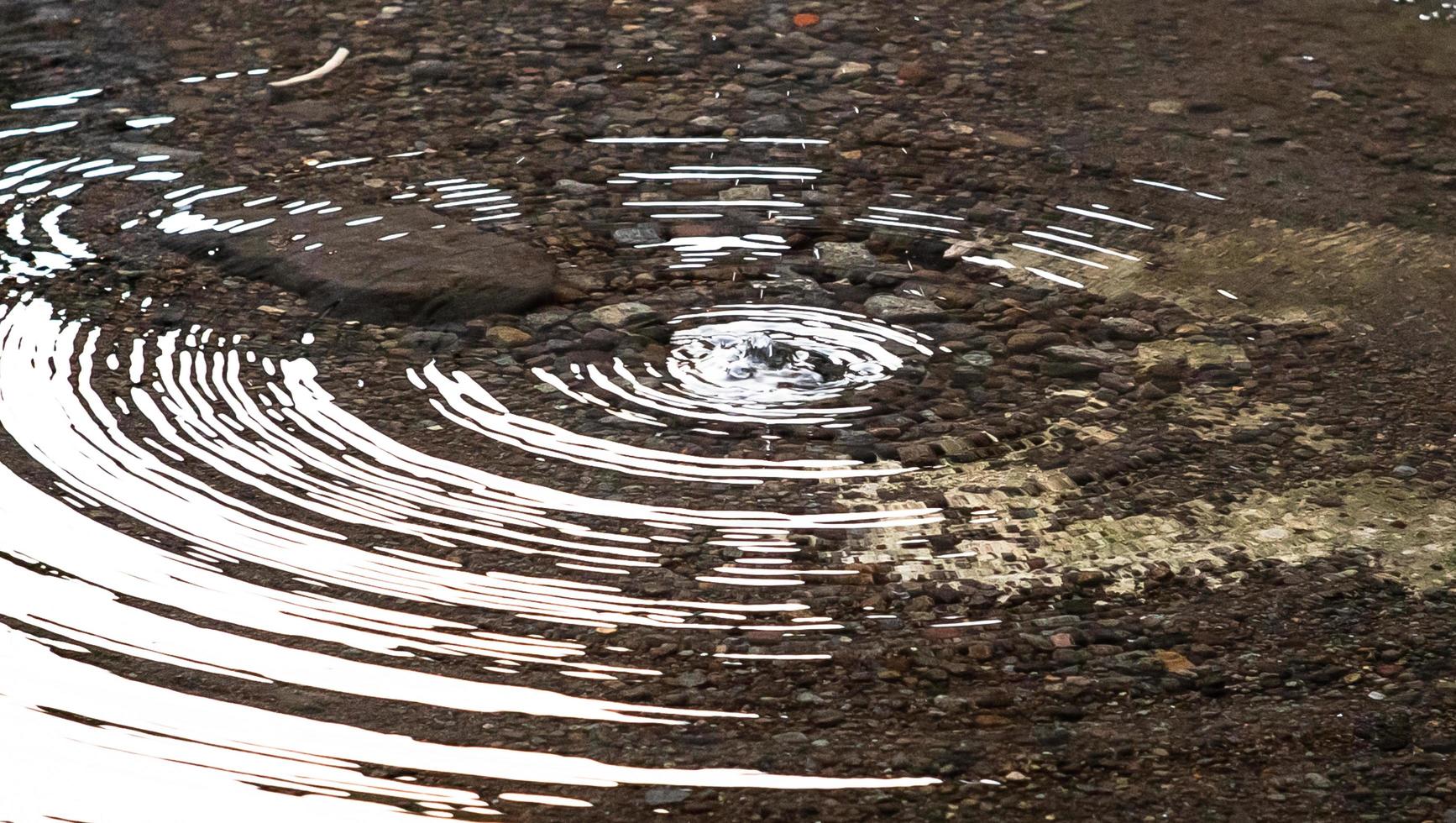 fondo con patrón de onda de gota de agua foto