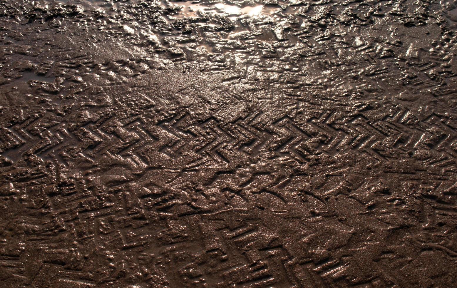 wet beach sand background with atv motorcycle tire tracks photo