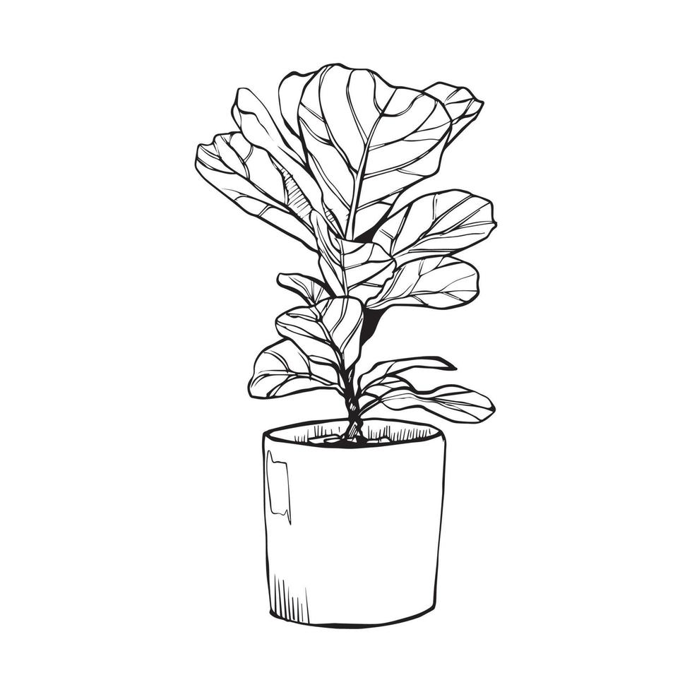 plant in a pot vector