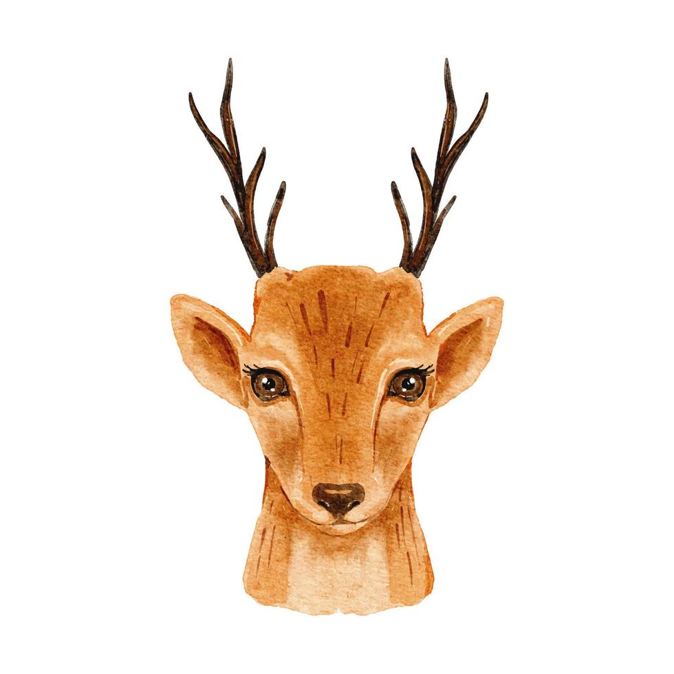 Reindeer watercolor isolated on white background. Christmas cute deer portrait illustration. Winter animal design cartoon vector