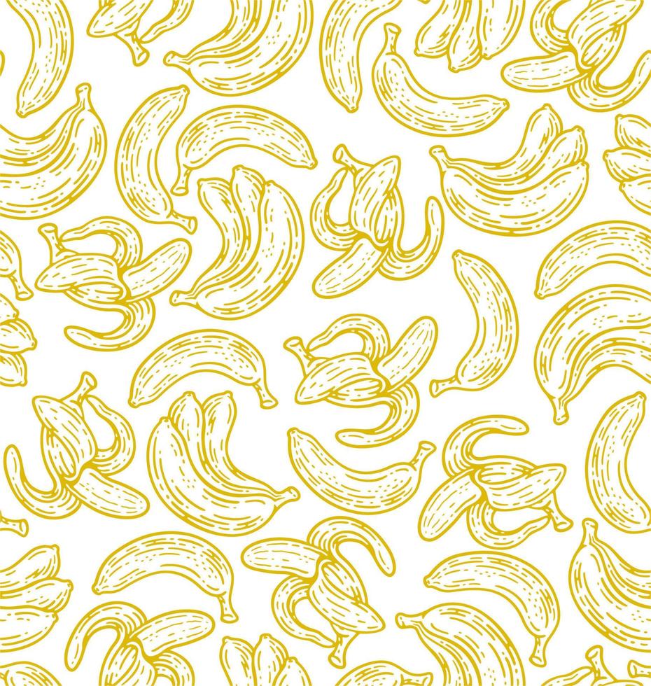 Seamless pattern of banana fruit in doodle vintage style. vector