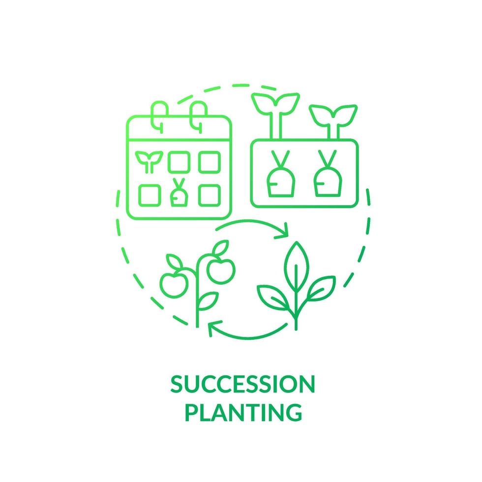 Succession planting green gradient concept icon. One crop following another. Gardening method abstract idea thin line illustration. Isolated outline drawing. vector