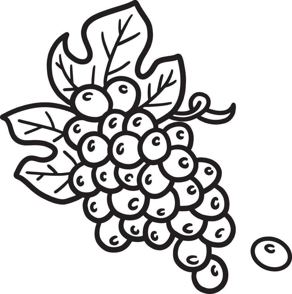 New Year Grapes Isolated Coloring Page for Kids vector