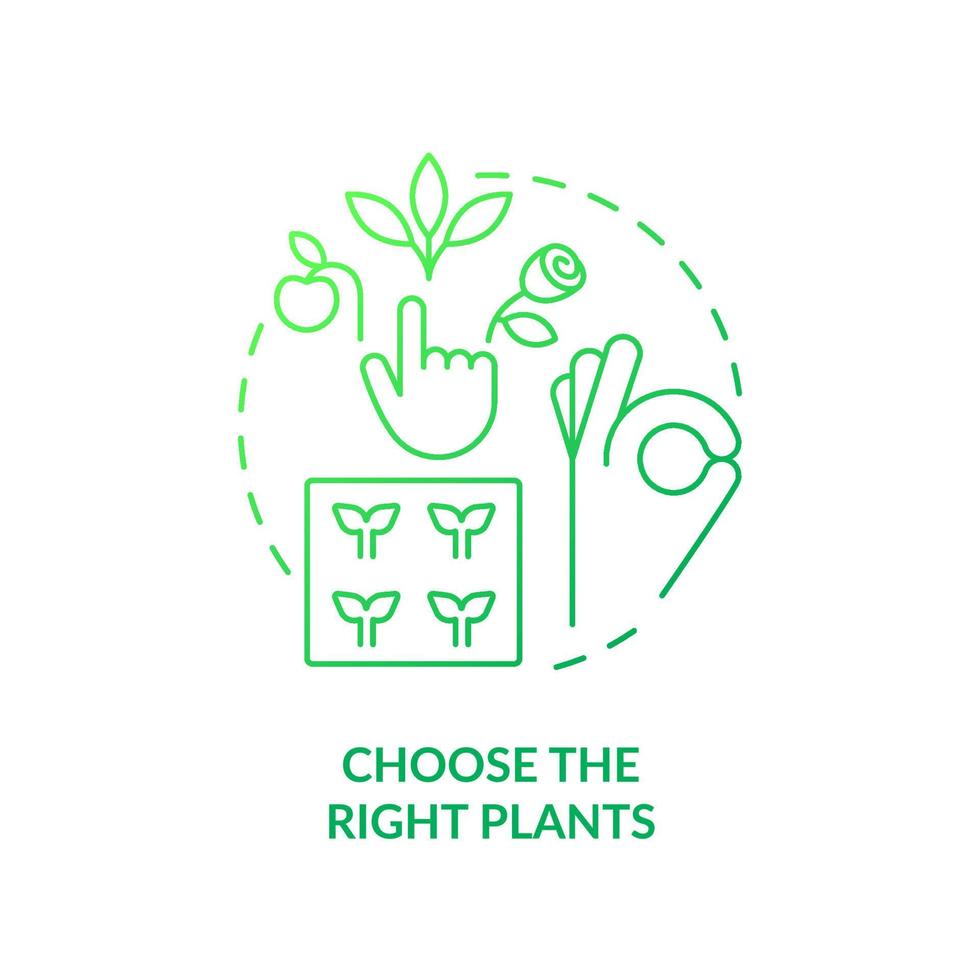 Choose right plants green gradient concept icon. Place and condition. Growing plants. Gardening tip abstract idea thin line illustration. Isolated outline drawing. vector