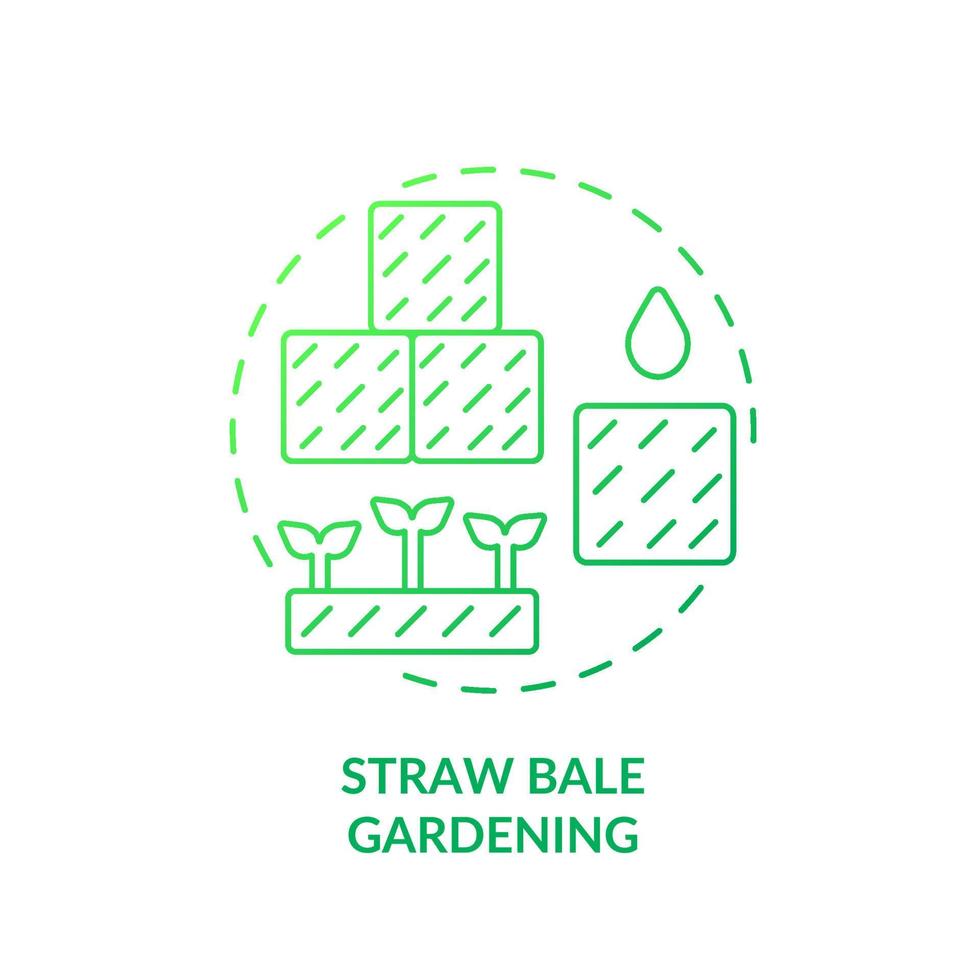 Straw bale gardening green gradient concept icon. Container planting. Growing plants. Gardening method abstract idea thin line illustration. Isolated outline drawing. vector