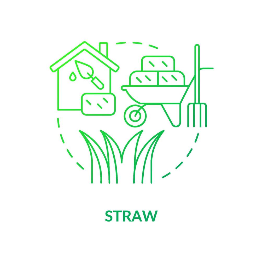 Straw green gradient concept icon. Alternative building resource abstract idea thin line illustration. Structural element. Straw bale construction. Isolated outline drawing. vector