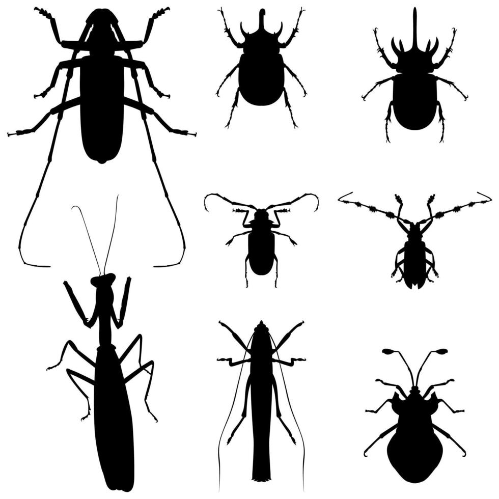 Shape of insect vector set