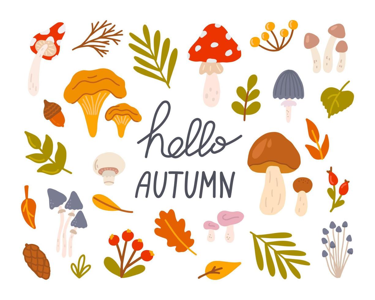 Set of different mushrooms with berries and leaves. Hello autumn. Vector flat illustration in hand drawn style on white background