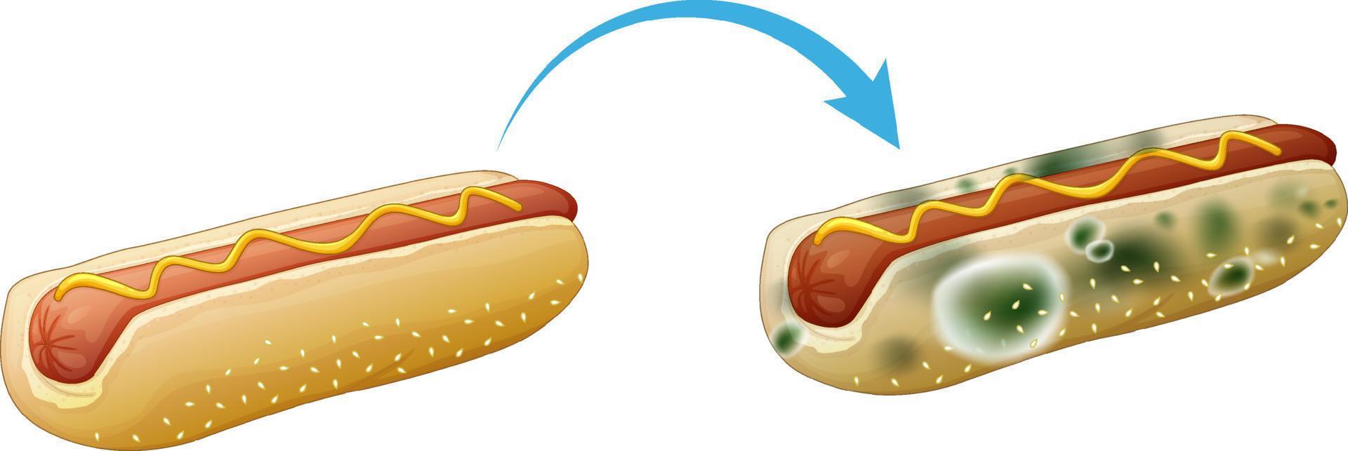 Inedible bread with mould vector