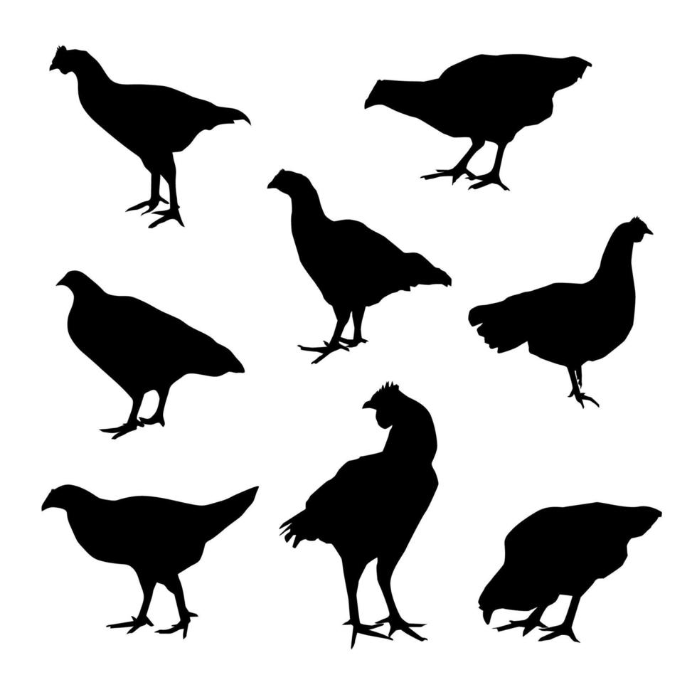 Chicken silhouettes set in vector