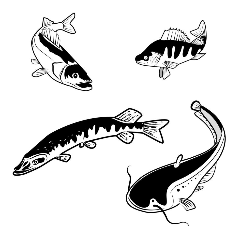 Set of the river fish in vector. Fish logo design templates vector