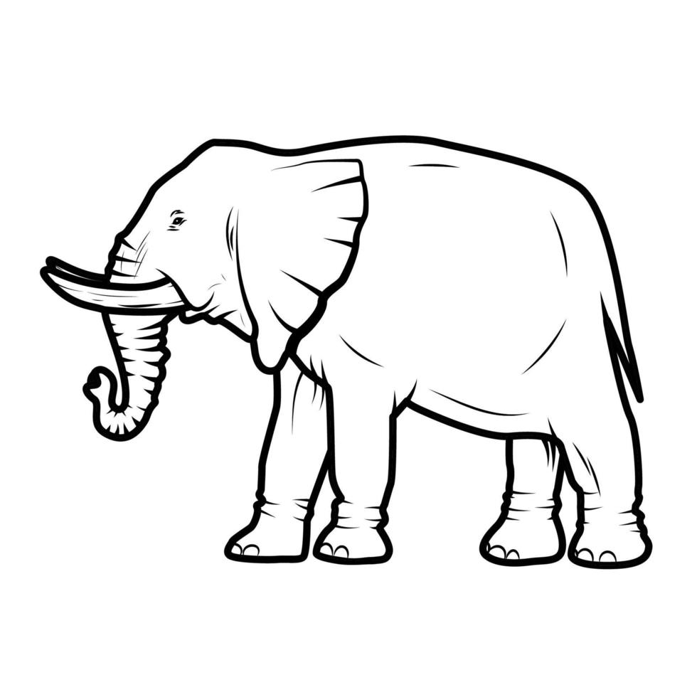 vector illustration of  elephant isolated on white background