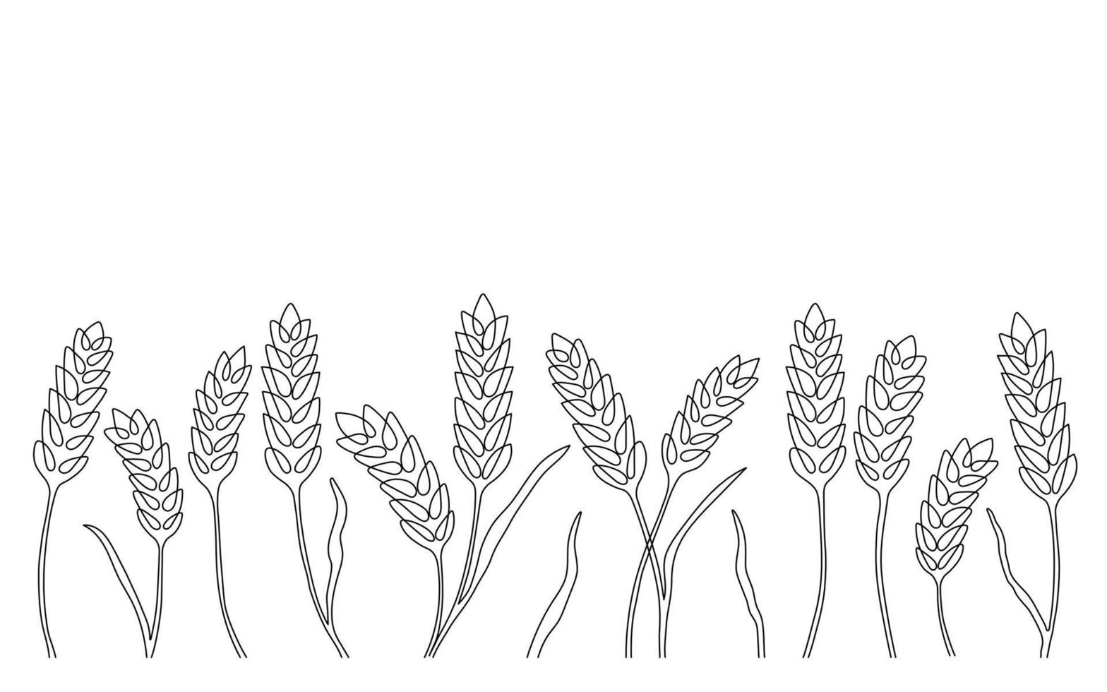 borde de oreja de grano de trigo, patrón natural, dibujo de línea de arte continuo. boceto lineal de trigo, cebada, arroz, maíz, avena y grano. delinear la planta de spica para agricultura, productos de cereales, panadería. vector