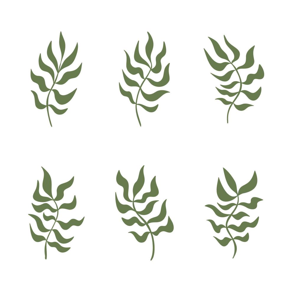 Set of abstract wavy plant or grass brunches curved leaves collection for wall decor, poster design. Decorative wavy organic shapes. Botanical elements for refreshing complement vector illustration