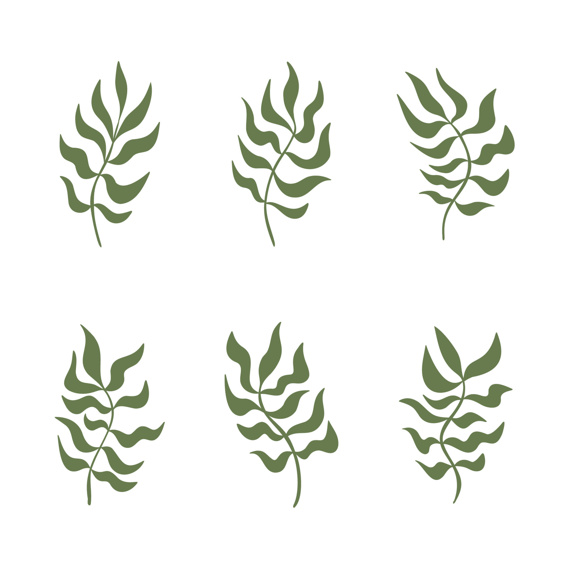 Set of abstract wavy plant or grass brunches curved leaves collection