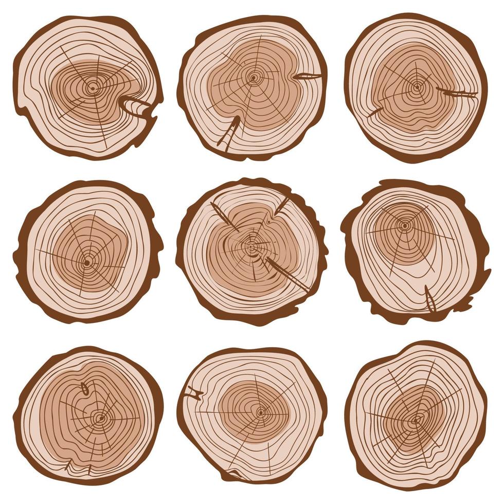Cut of tree trunk color set, round cut of logs collection, wavy rings of life, concentric hand drawn circles, wood age tree rings vector illustration