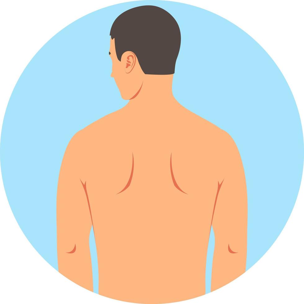 A young white naked man stands with his back. Silhouette of a naked white man to the waist isolated on a white background. Vector illustration.