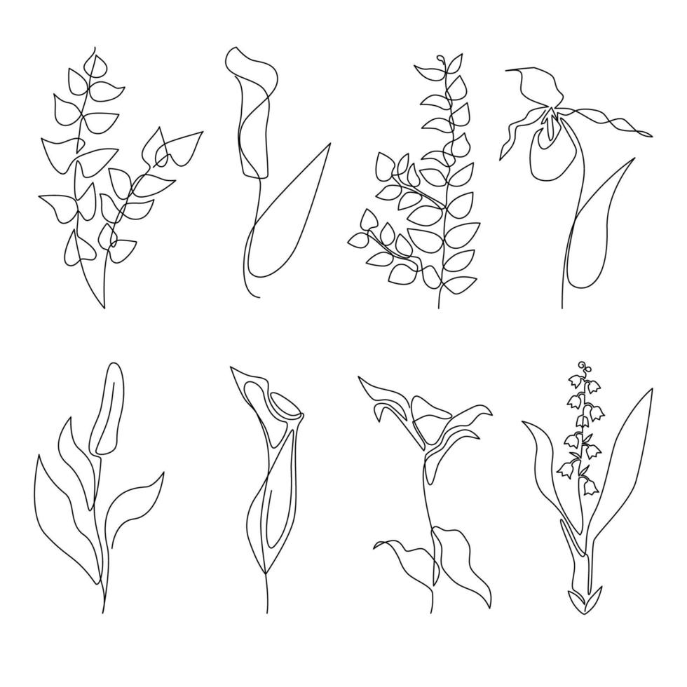 Continuous line abstract flowers and leaves set. Black sketch of lily, lily of valley, ladys slipper. Flowers one line simple boho aesthetic outline for home decor wall art posters vector illustration