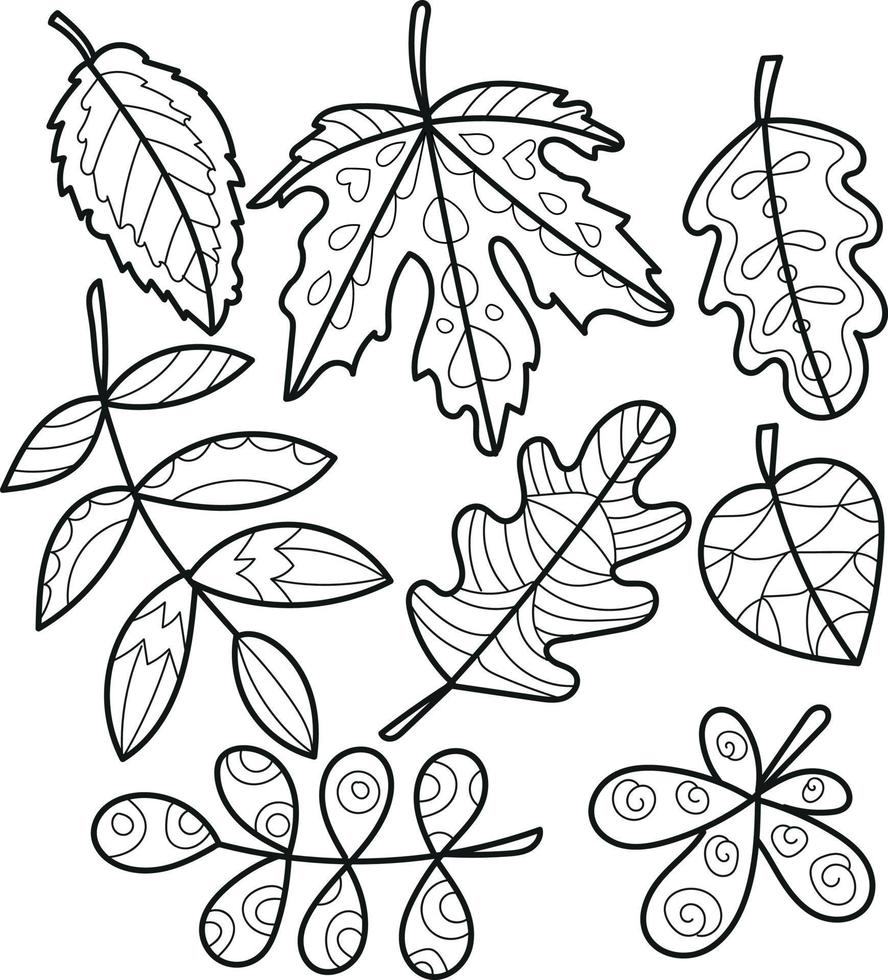 Set of different Outlined Leaves vector