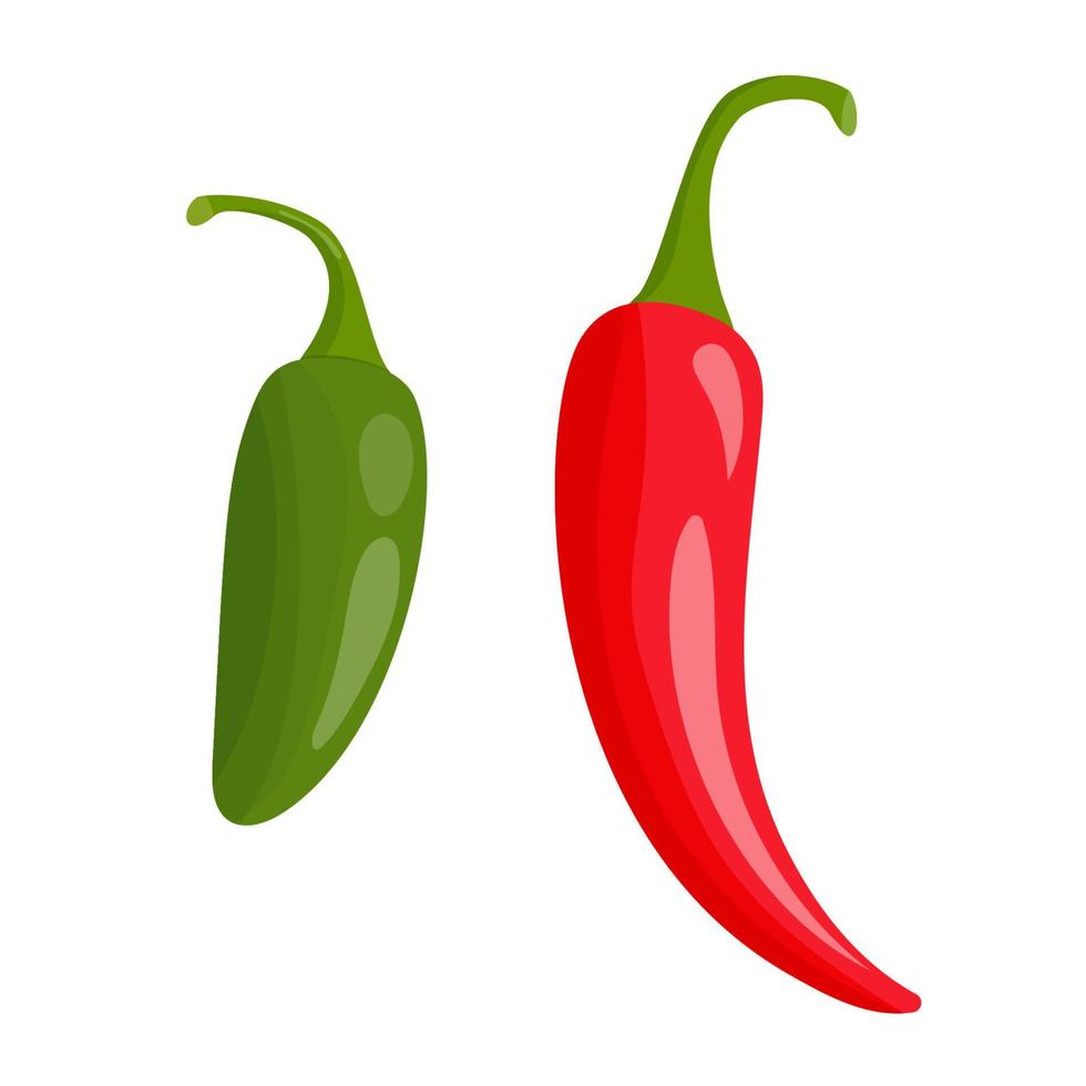 Chile de dibujos animados y pimientos jalapeños aislados sobre fondo blanco. ilustración vectorial vector