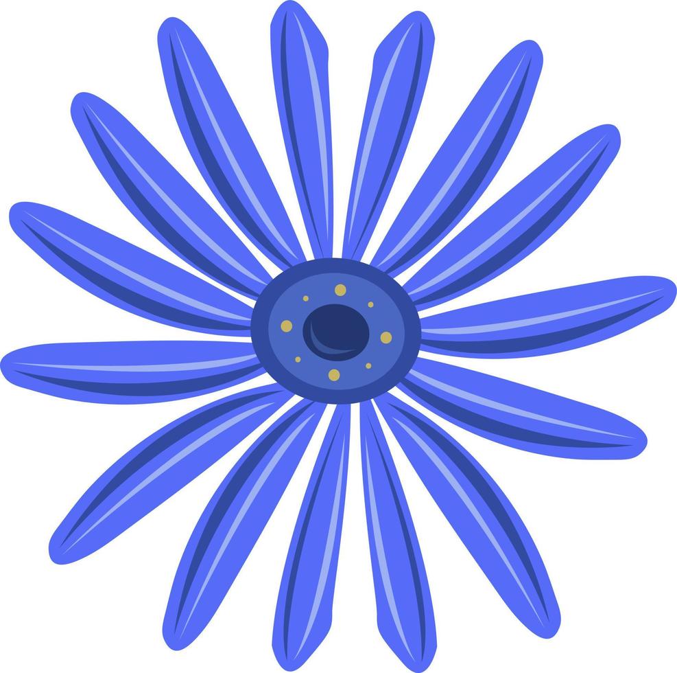 ilustración de vector de flor de aster azul para diseño gráfico y elemento decorativo