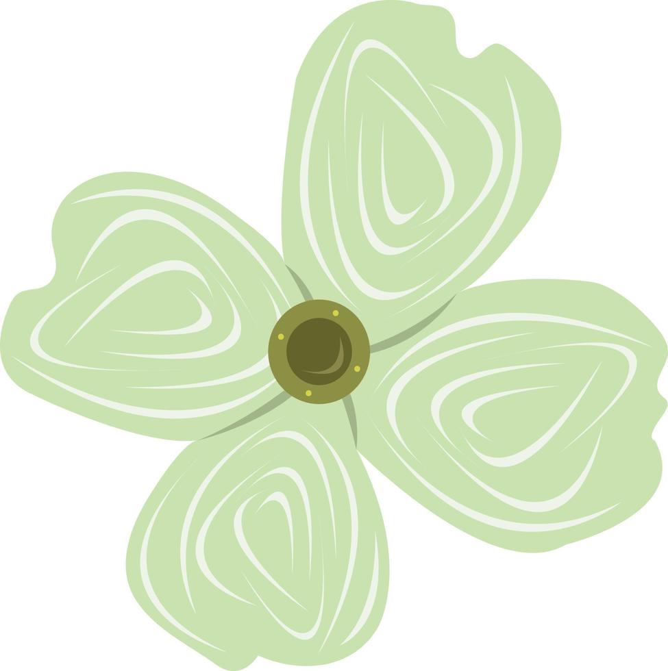 American dogwood flower vector illustration for graphic design and decorative element