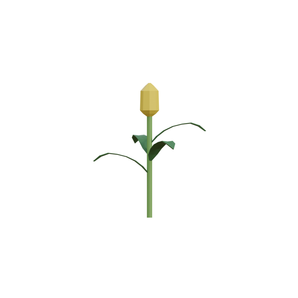 3D Isolated Various Flower png