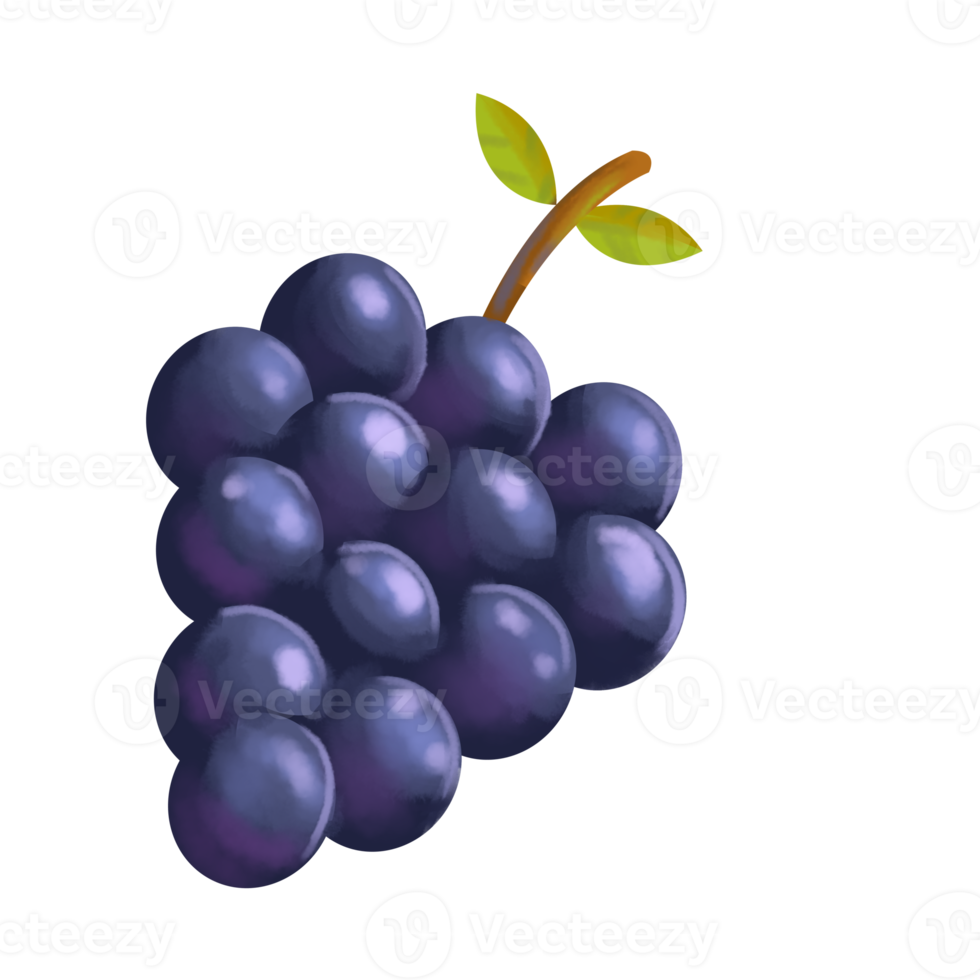 grape fruit cartoon png