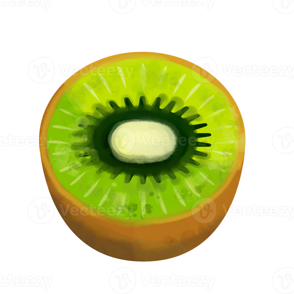 desenho de kiwi png