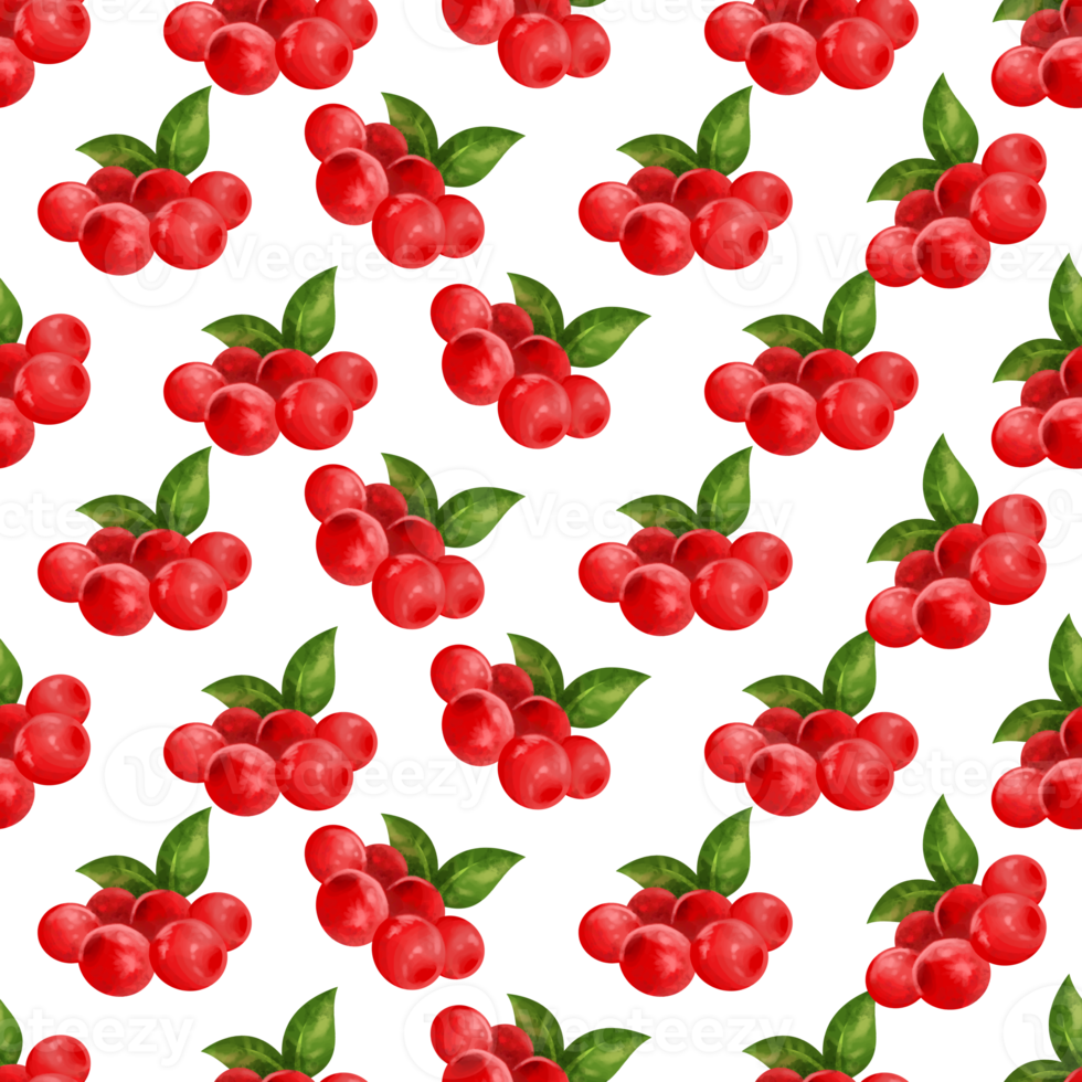 fruit painting pattern png