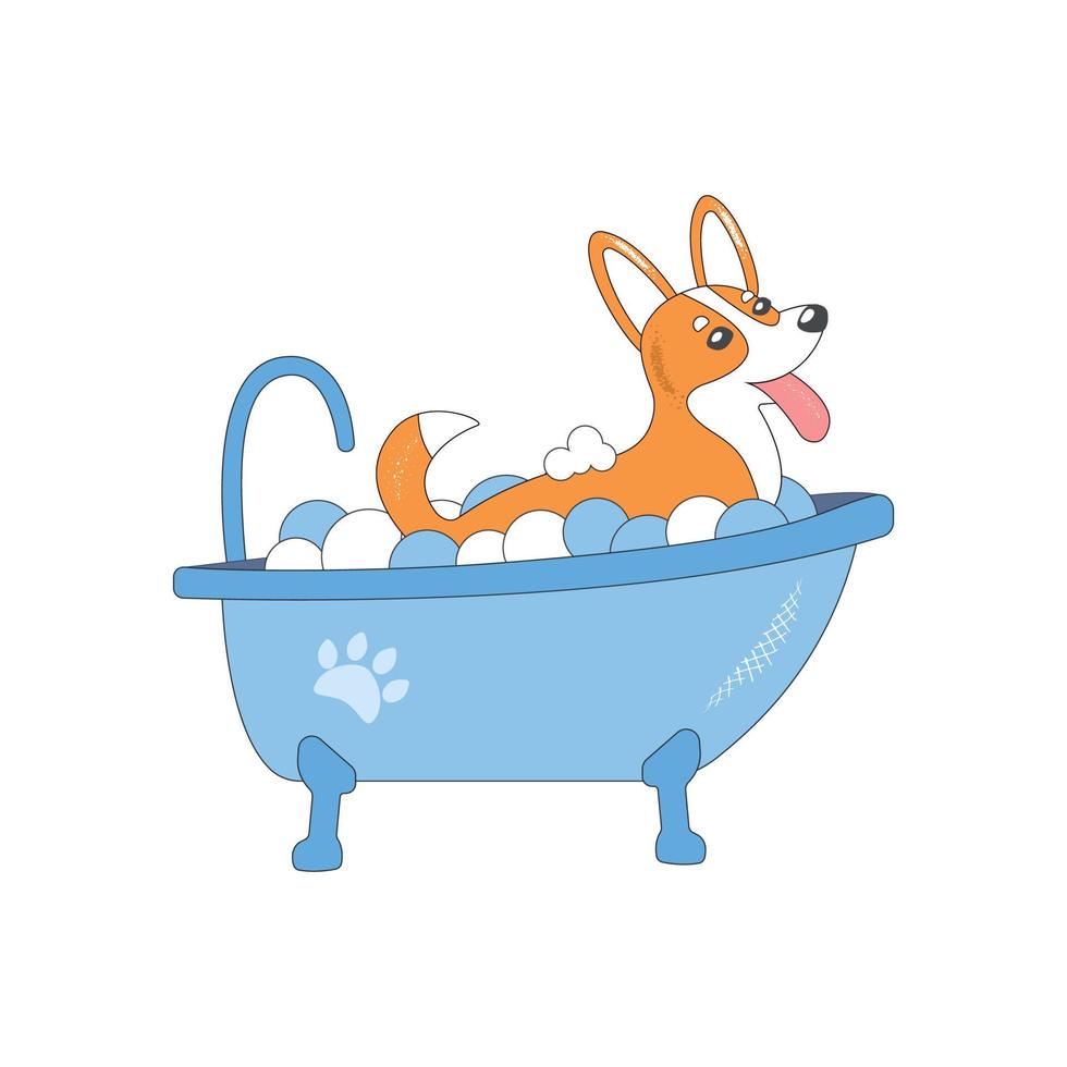 Vector cartoon style illustration of cute happy corgi dog taking a bath full of soap foam. Grooming concept. White background.