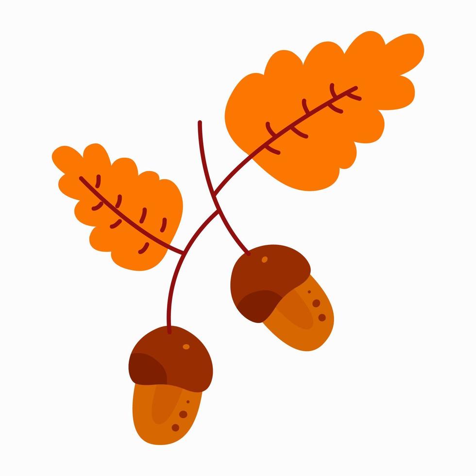 Gold autumn leaves and acorns on oak tree branch. Flat vector illustration isolated on white background.