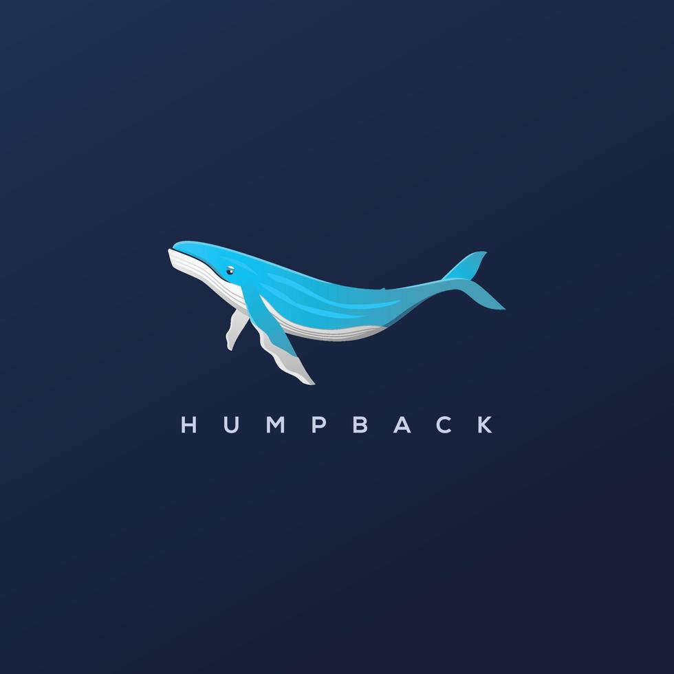 Humpback Whale vector logo design, line art