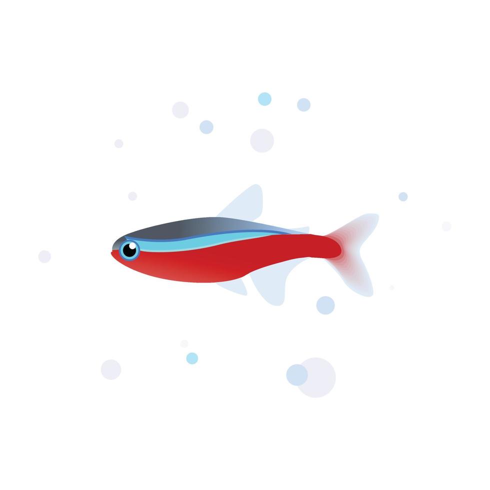 Cardinal tetra vector design, tetra fish aquarium fish