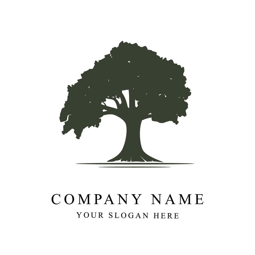 Vector oak tree logo template silhouette