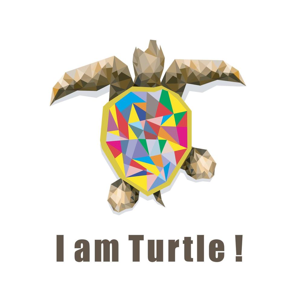 Animal - Turtle vector