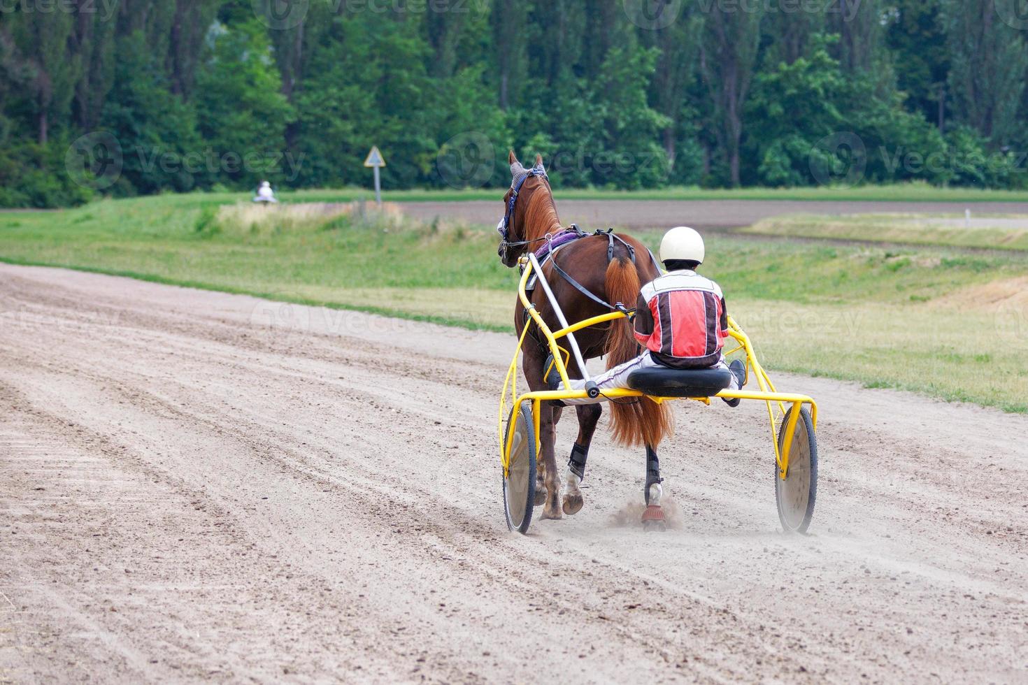 A jockey on a chariot with a horse does a warm-up warm-up before the race. photo