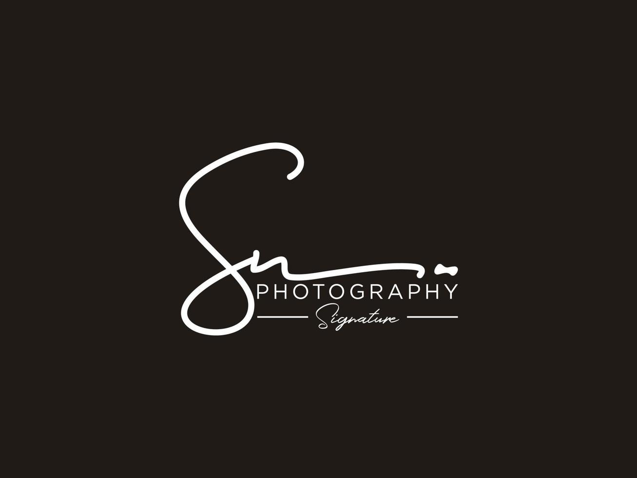 Letter SN Signature Logo Template Vector