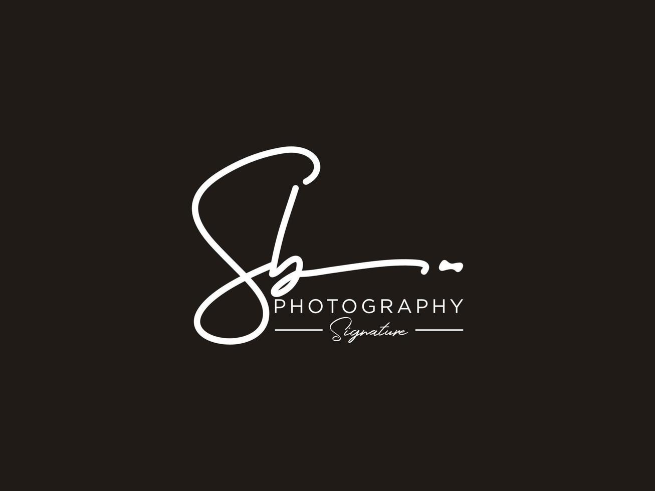 Letter SB Signature Logo Template Vector