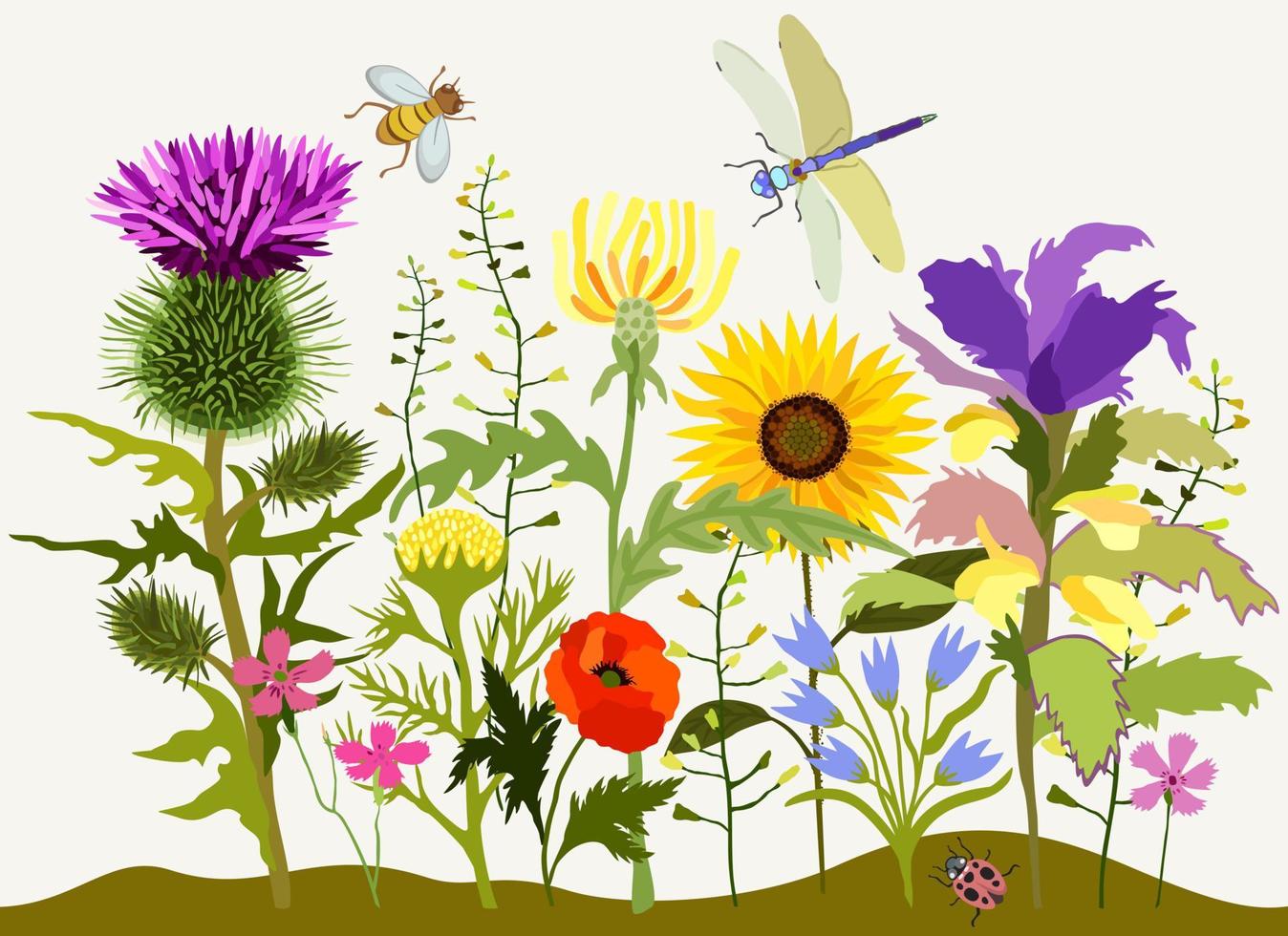 Vector floral composition. Summer blooming plants. Insects.