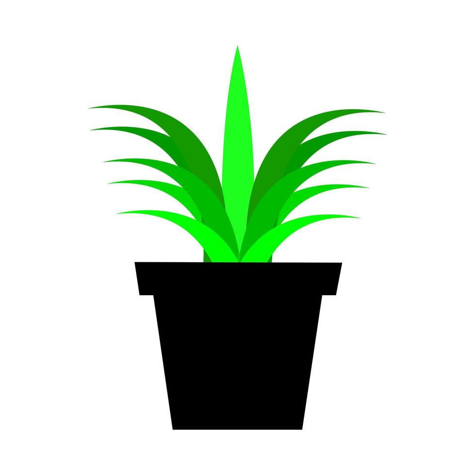 Potted plant decorative plant vector illustration