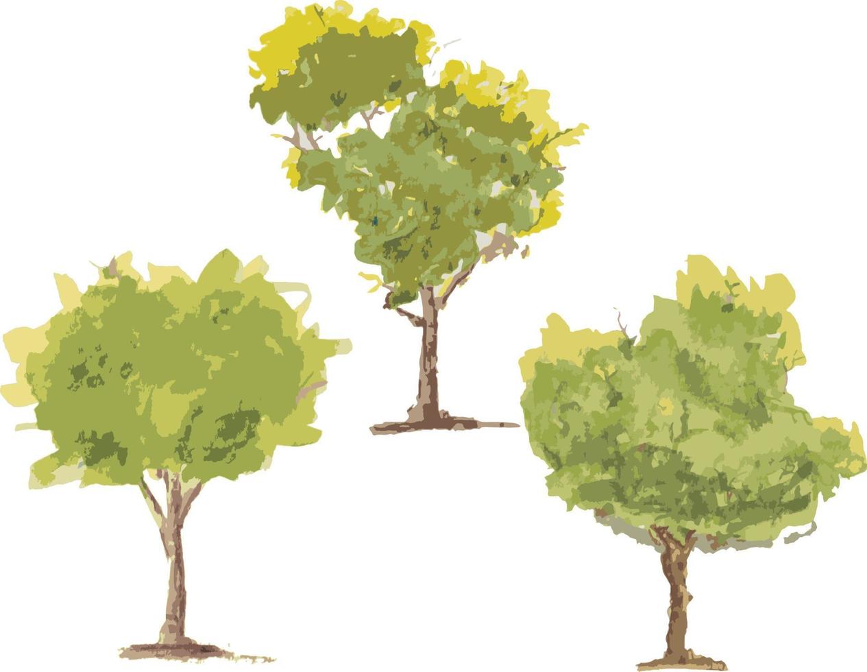 vector dibujado a mano árbol acuarela ilustración