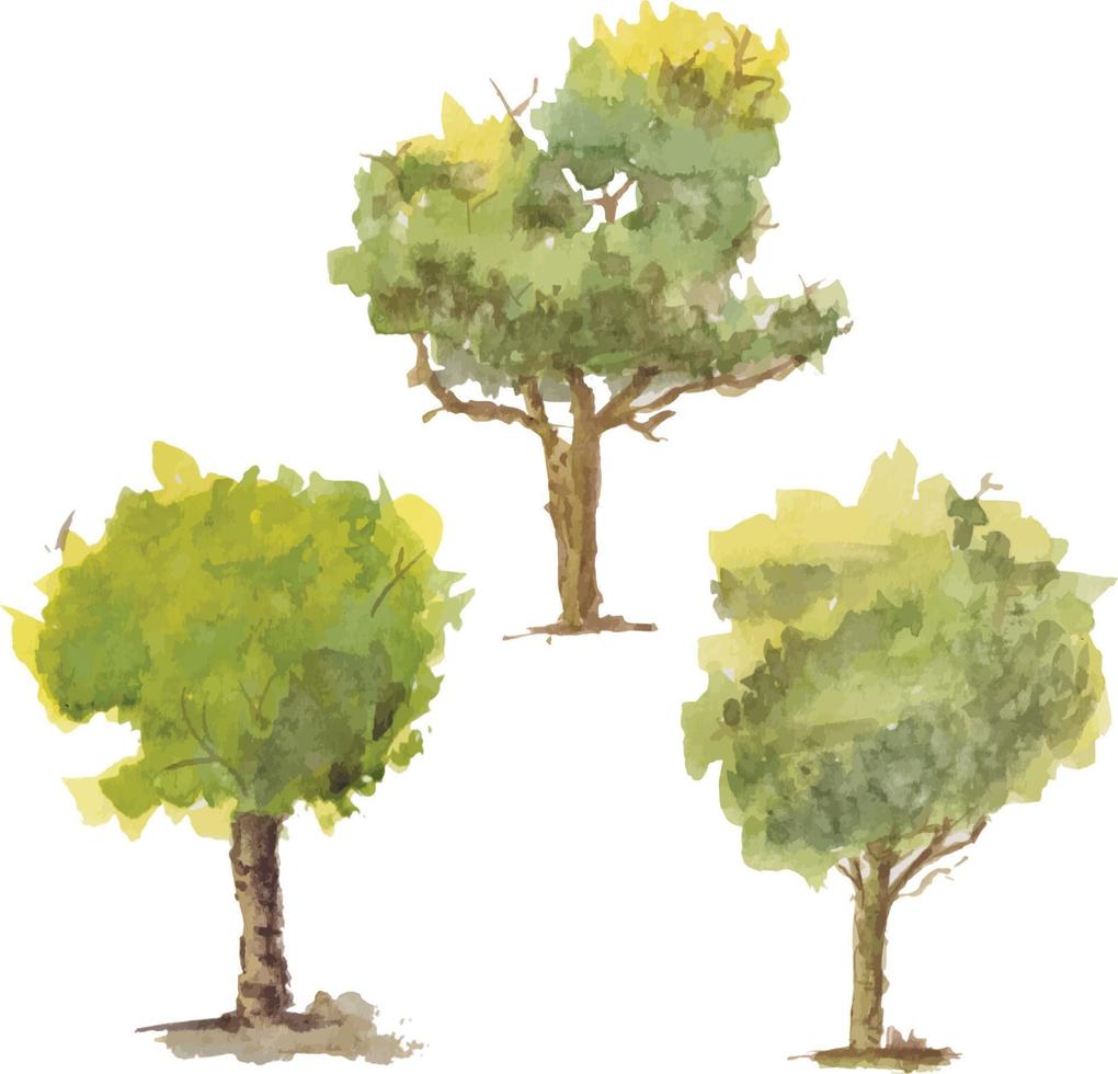 Vector hand drawn tree watercolor illustration